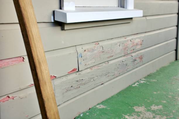Best Residential Vinyl Siding Installation  in USA